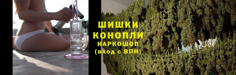 где продают   Старая Русса  Бошки марихуана OG Kush 